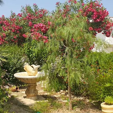 Athina Apartmán Laganas